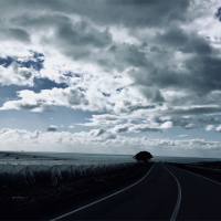For-My-Father-Sizilien-2019-1