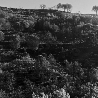 For-My-Father-Sizilien-2019-17