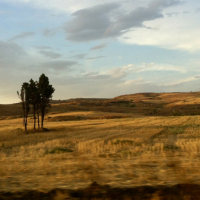 For-My-Father-Sizilien-2019-7