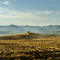 For-My-Father-Sizilien-2019-8