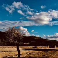 For-My-Father-Sizilien-2019-9