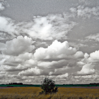 Cloud Formation